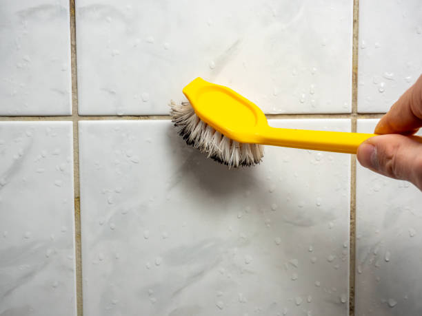 Best Professional Mold Removal  in Rosemead, CA