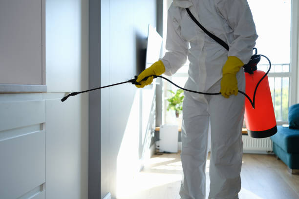 Best Mold Testing  in Rosemead, CA